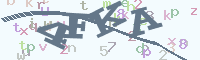 reload image