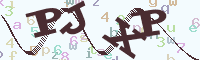 reload image