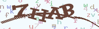 reload image