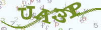 reload image