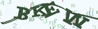 reload image