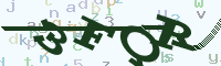 reload image