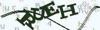 reload image