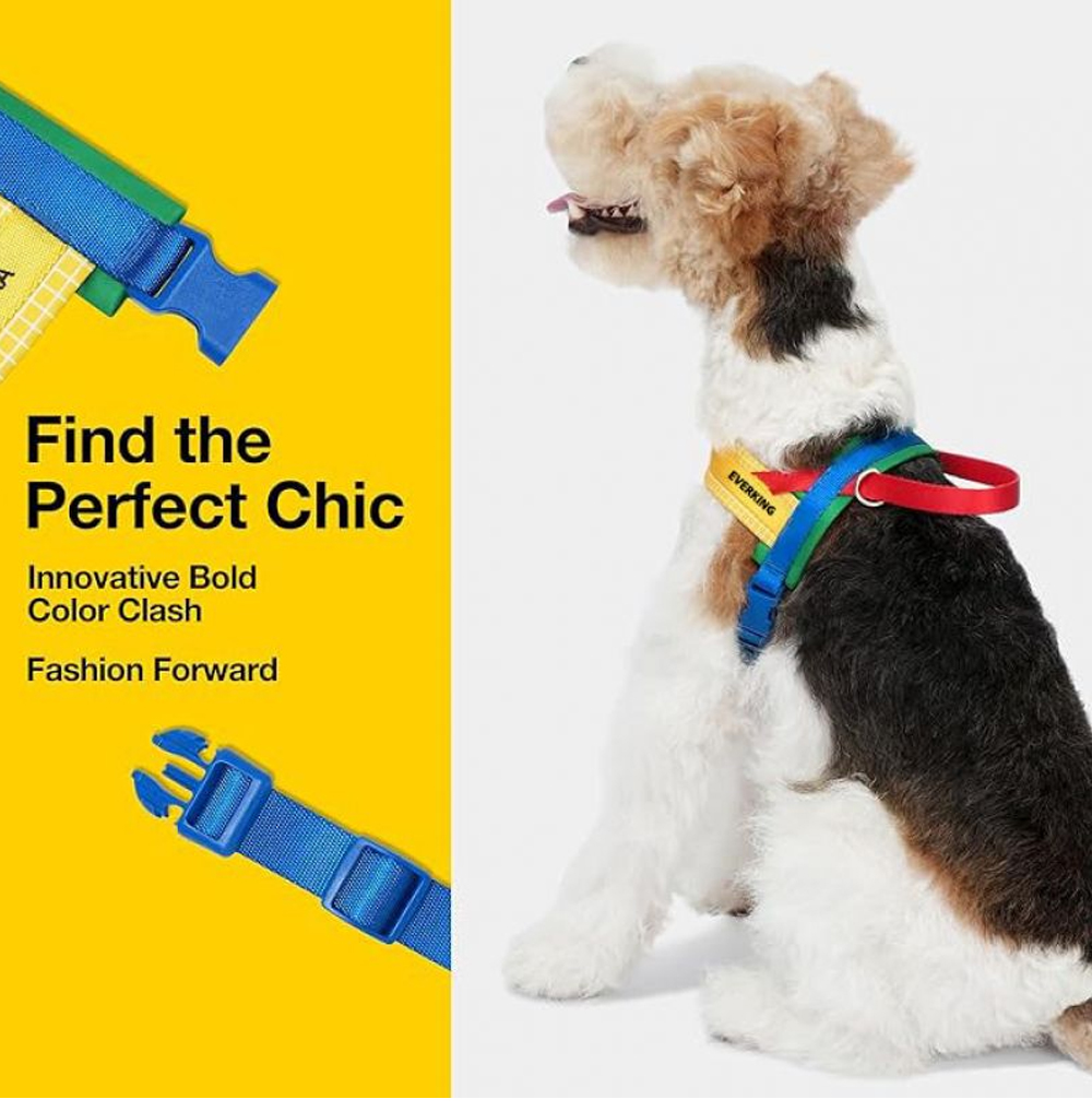 Bold custom-color dog harness buckle design shown on a dog