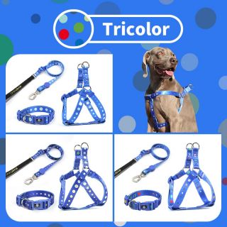 2022 amazon hot sale custom polyester dog harnesses collar and leash set