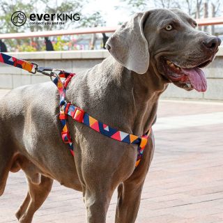 Large custom dog collars Design dog harness collar and leash supplier