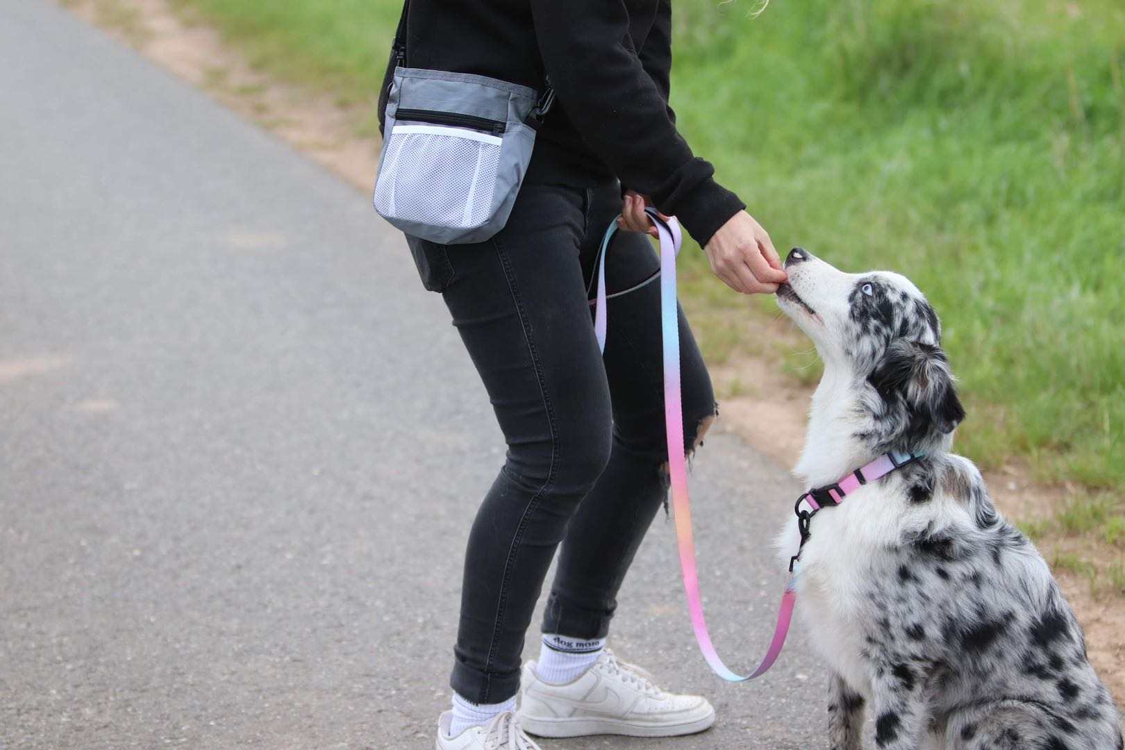 The Joy of Having a Pet: More Than Just a Companion