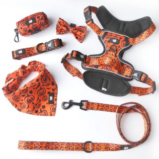 Customizable Pet Double Pad Harness 6 Piece Set Adjustable Sizes Personalize Colors and Patterns