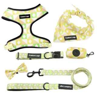 Custom Manufacturer Wholesale Dog Neoprene Harness Set