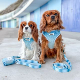 Blue Sequin Gradient Fashion New Model Dog Neck Harness Escape Proof Custom Design Dog Harness
