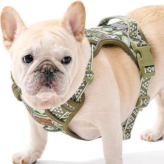 2025 New Design Green Low MOQ Oem Dog Harness Buckle Solid Oxford Dog Harness