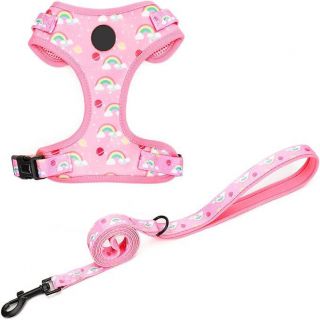 Wholesale Cute Patterns rainbow Clouds pink Custom Pet Harness Set Sublimation Dog Harness