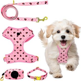 5-in-1 Soft Dog Harness Set Adjustable No-Pull Harness Leash Collar Waste Bag Holder Poop Bags Light