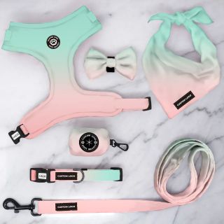 Custom Ombre Neoprene Dog Harness 6-Piece Set Adjustable Harness Leash Collar Bandana Bow Tie
