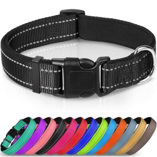 Padded Neoprene Dog Collar with Reflective Nylon Webbing & Quick Release Buckle Custom OEM Avail